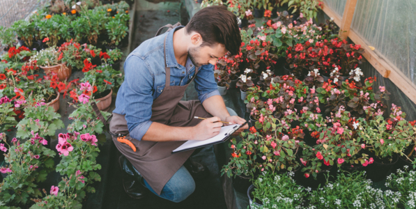 Ландшафтный дизайн и садово-парковое строительство Ландшафтный дизайн и садово-парковое строительство